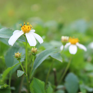 Meet your Posher, Jackie!